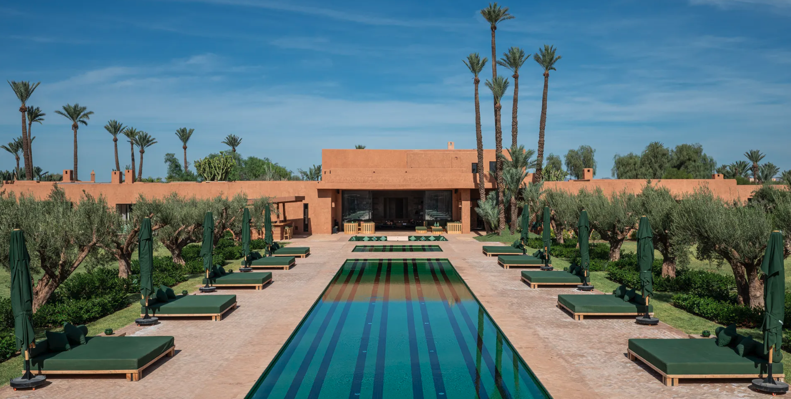 Villa avec piscine et palmiers à Marrakech