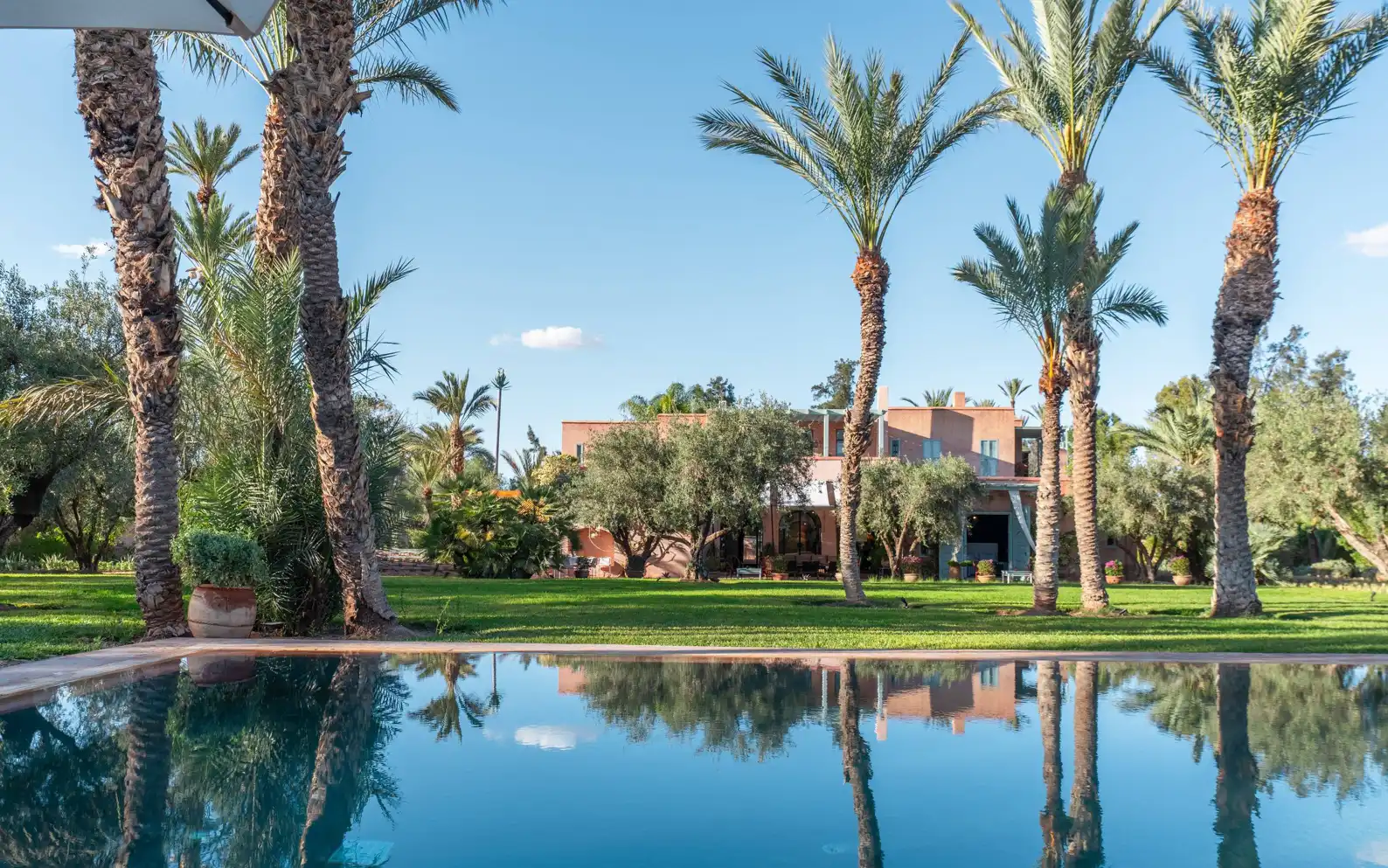 Villa entourée de palmiers avec piscine à Marrakech