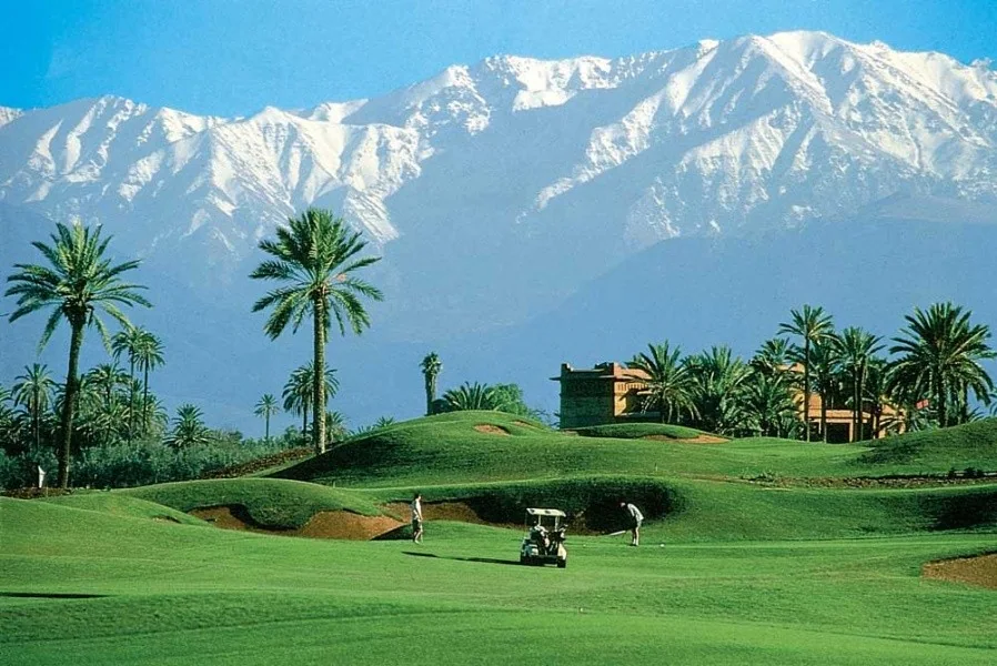Vue sur golf et palmiers avec l’Atlas en arrière-plan